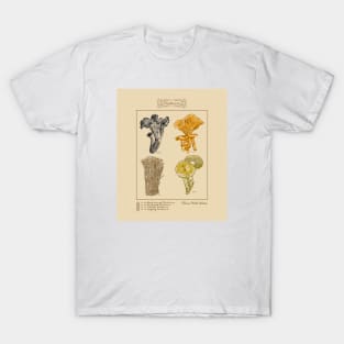 Mushroom Types - mycology T-Shirt